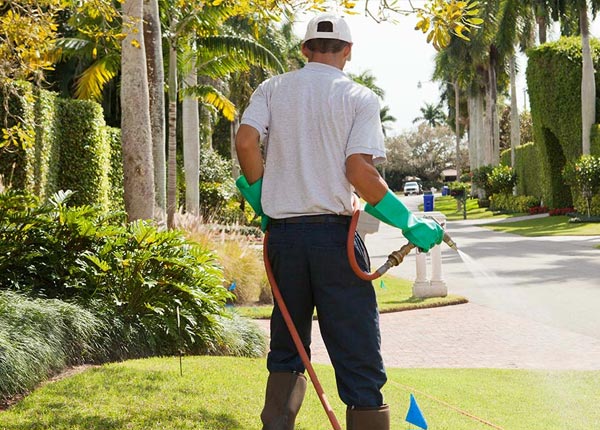 About Chaseley ND Pest Control